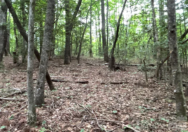 4th image of 00 J Thomas Rd, Morganton, NC 28655 | MLS# 4383700