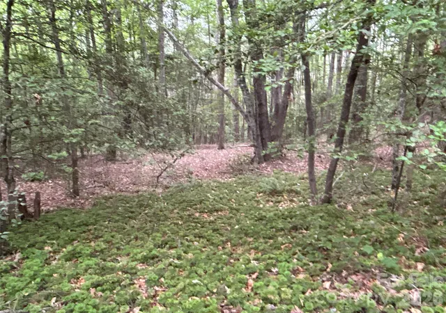 5th image of 00 J Thomas Rd, Morganton, NC 28655 | MLS# 4383700