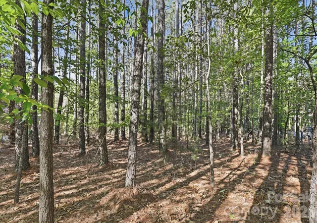 5th image of 158 Blue Ridge Trl, Mooresville, NC 28117 | MLS# 4383953