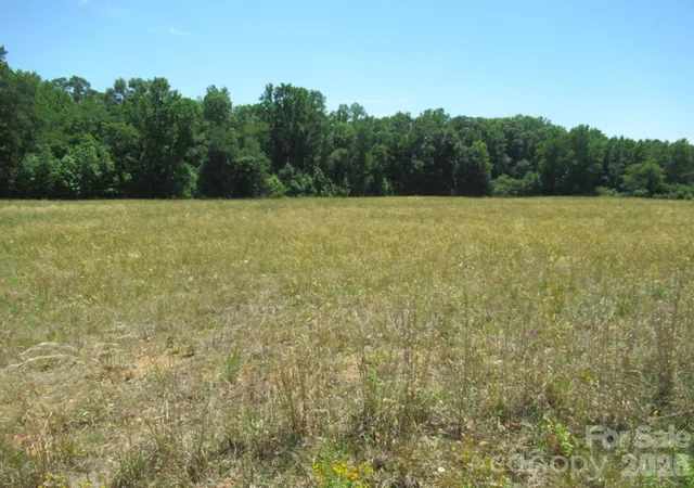 Homes for sale in Crouse, NC | 00 Dave Heafner Rd, Crouse, NC 28033 | MLS# 4383988