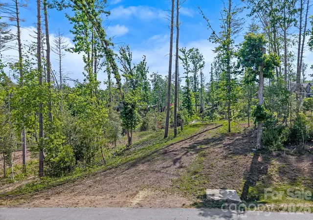 Photo 3 of Land for sale at 325 Flowering Vine Ct, Asheville, NC 28803 | MLS# 4384210 | Listing updated on 2026-05-21