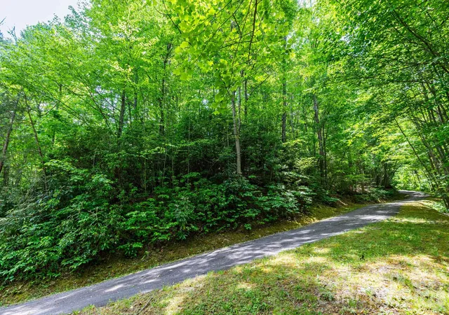 Homes for sale in Whittier, NC | 46 Widgeon Wy, Whittier, NC 28789 | MLS# 4384497