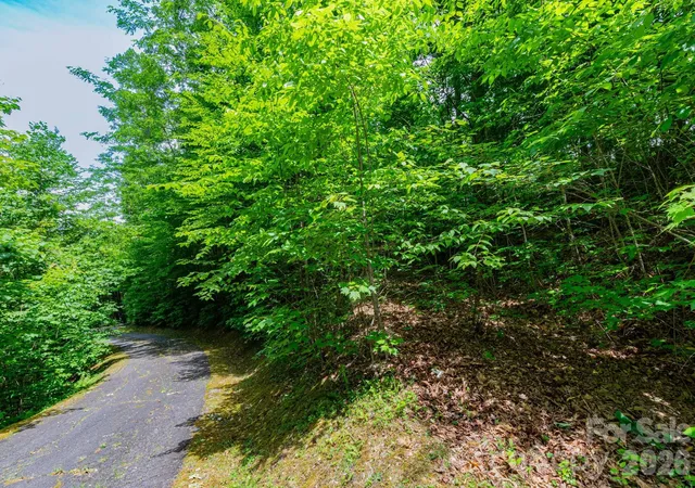 Homes for sale in Whittier, NC | 46 Widgeon Wy, Whittier, NC 28789 | MLS# 4384497