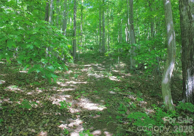 Photo 2 of Land for sale at 00 Wildwood Dr, Burnsville, NC 28714 | MLS# 4384516 | Listing updated on 2026-09-16