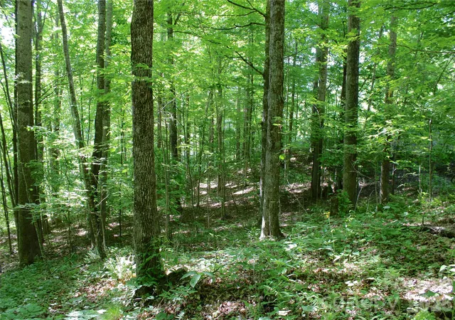 Photo 3 of Land for sale at 00 Wildwood Dr, Burnsville, NC 28714 | MLS# 4384516 | Listing updated on 2026-09-16