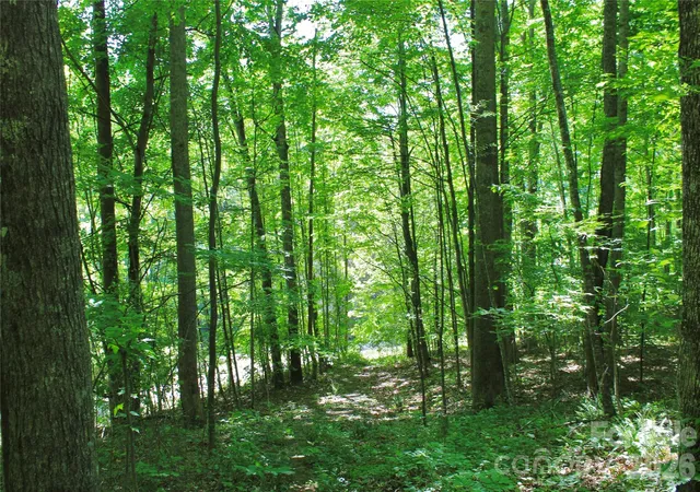 Photo 3 of Land for sale at 00 Wildwood Dr, Burnsville, NC 28714 | MLS# 4384516 | Listing updated on 2026-09-16