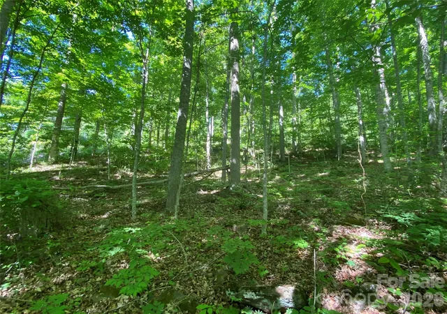 Photo 4 of Land for sale at 00 Wildwood Dr, Burnsville, NC 28714 | MLS# 4384516 | Listing updated on 2026-09-16