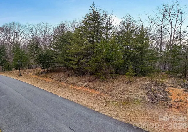 Homes for sale in Denton, NC | 316 Pinnacle Trl, Denton, NC 27239 | MLS# 4384669