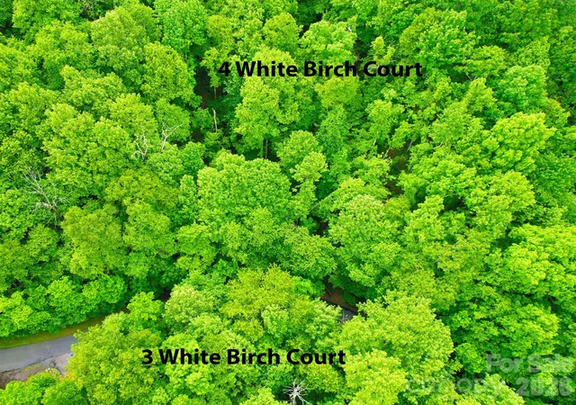 Photo 3 of Land for sale at 4 White Birch Ct #422, Black Mountain, NC 28711 | MLS# 4384677 | Listing updated on 2026-08-04