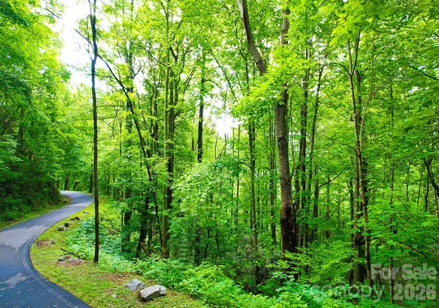 Photo 3 of Land for sale at 4 White Birch Ct #422, Black Mountain, NC 28711 | MLS# 4384677 | Listing updated on 2026-08-04