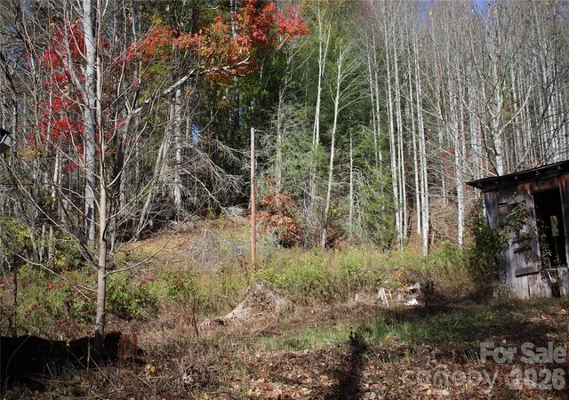 Photo 2 of Land for sale at 44 Toms Crk Rd, Bakersville, NC 28705 | MLS# 4384685 | Listing updated on 2026-09-29