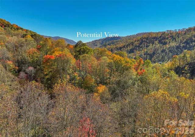 Homes for sale in Bakersville, NC | 44 Toms Creek Rd, Bakersville, NC 28705 | MLS# 4384685