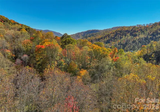 Homes for sale in Bakersville, NC | 44 Toms Creek Rd, Bakersville, NC 28705 | MLS# 4384685