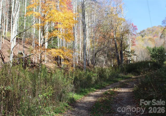Photo 4 of Land for sale at 44 Toms Crk Rd, Bakersville, NC 28705 | MLS# 4384685 | Listing updated on 2026-10-14