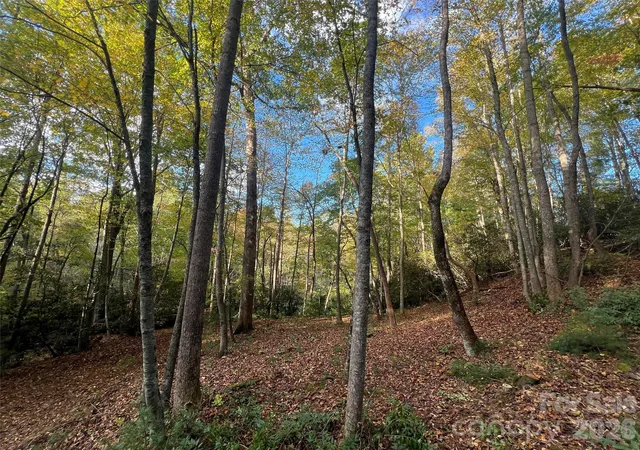 1st image of 6 Dividing Ridge Trl #01, Arden, NC 28704 | MLS# 4384713
