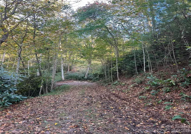18th image of 6 Dividing Ridge Trl #01, Arden, NC 28704 | MLS# 4384713