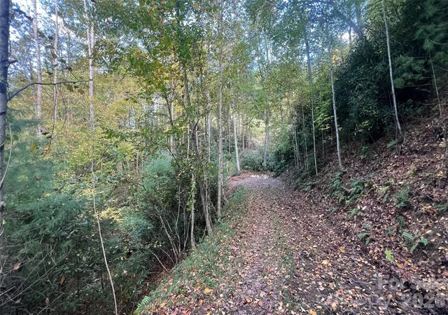 2nd image of 6 Dividing Ridge Trl #01, Arden, NC 28704 | MLS# 4384713