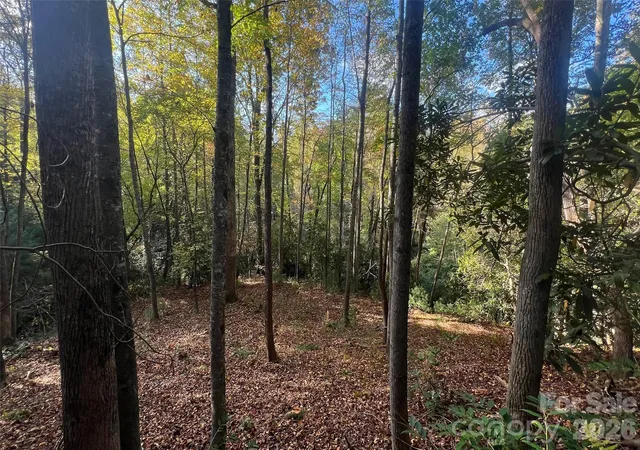 3rd image of 6 Dividing Ridge Trl #01, Arden, NC 28704 | MLS# 4384713