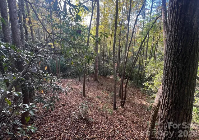 4th image of 6 Dividing Ridge Trl #01, Arden, NC 28704 | MLS# 4384713