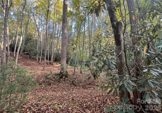 5th image of 6 Dividing Ridge Trl #01, Arden, NC 28704 | MLS# 4384713