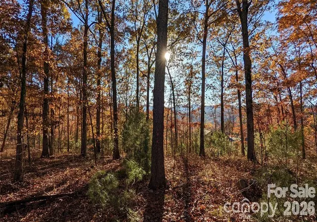 Photo 2 of Land for sale at 512 Wild River Run #65, Marshall, NC 28753 | MLS# 4384718 | Listing updated on 2026-08-18