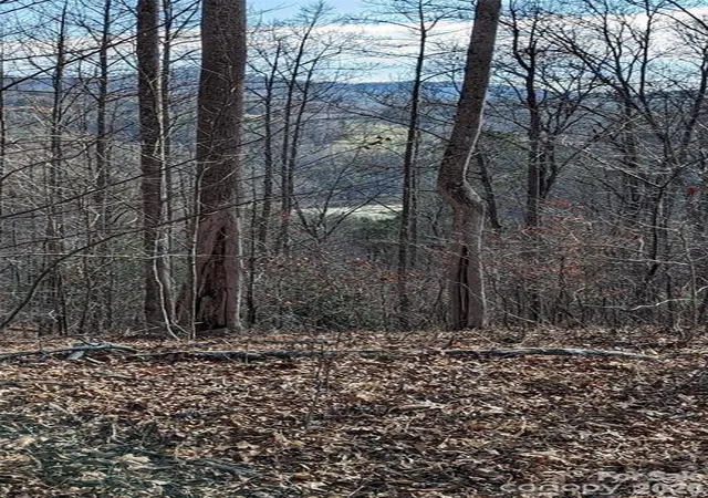 Photo 3 of Land for sale at 512 Wild River Run #65, Marshall, NC 28753 | MLS# 4384718 | Listing updated on 2026-08-18