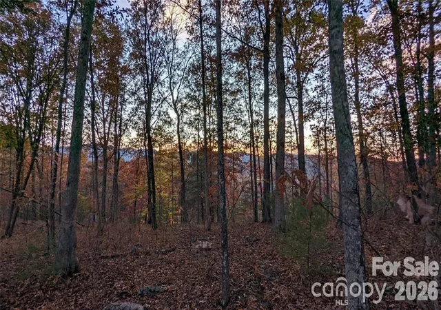Photo 4 of Land for sale at 512 Wild River Run #65, Marshall, NC 28753 | MLS# 4384718 | Listing updated on 2026-08-18