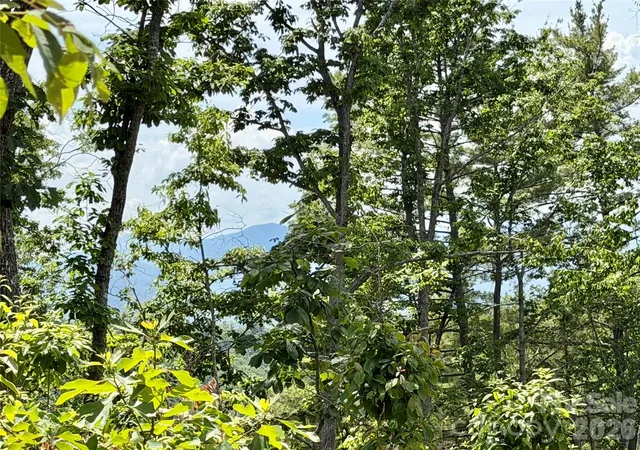 2nd image of 19 Villa Nova Dr, Asheville, NC 28804 | MLS# 4384806