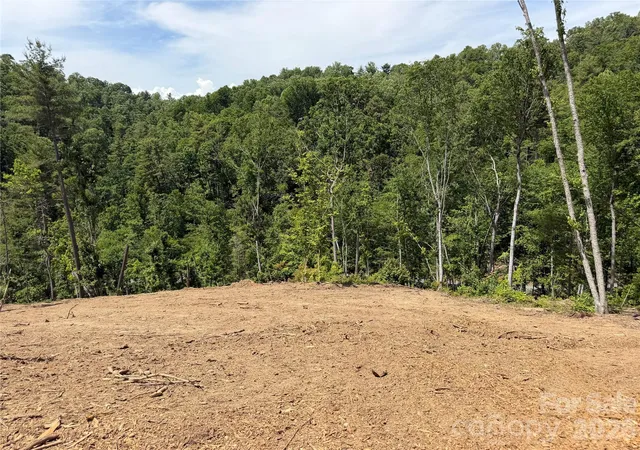 3rd image of 19 Villa Nova Dr, Asheville, NC 28804 | MLS# 4384806