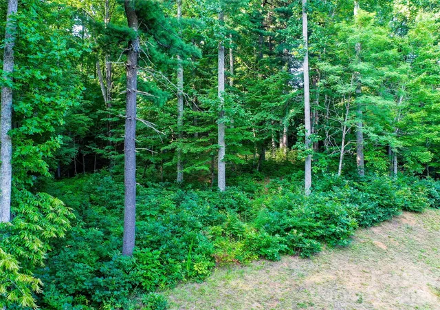 4th image of Lot 32 Freedom Trail Ct #32, Zirconia, NC 28790 | MLS# 4384859