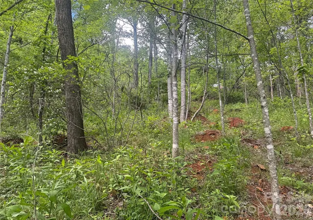 Homes for sale in Bakersville, NC | V/l Wolf Xing, Bakersville, NC 28705 | MLS# 4385017