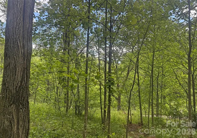 Photo 5 of Land for sale at V/l Wolf Xing, Bakersville, NC 28705 | MLS# 4385017 | Listing updated on 2026-06-06