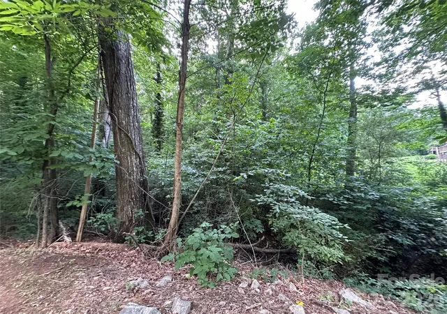 25th image of 0 Briarcliff Rd, Rockwell, NC 28138 | MLS# 4385107