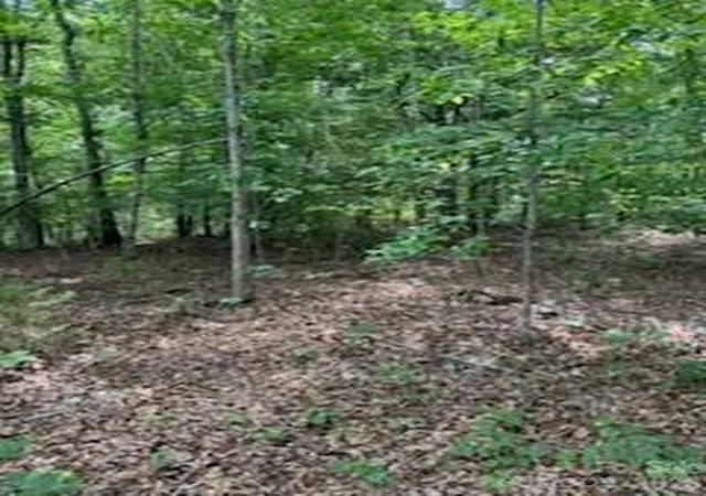 9th image of 0 Smith Waldrop Rd, Mill Spring, NC 28756 | MLS# 4385191