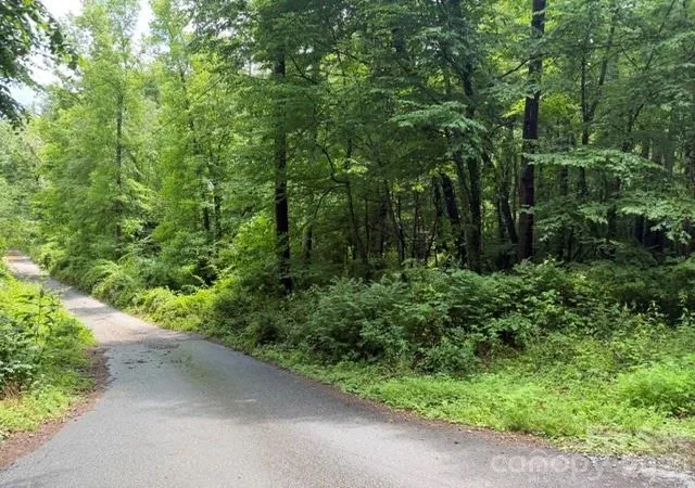1st image of 9999 Independence Blvd, Asheville, NC 28805 | MLS# 4385223
