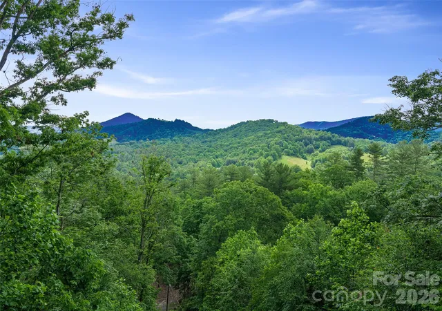 Homes for sale in Burnsville, NC | 357 Rosewood Ln, Burnsville, NC 28714 | MLS# 4385330