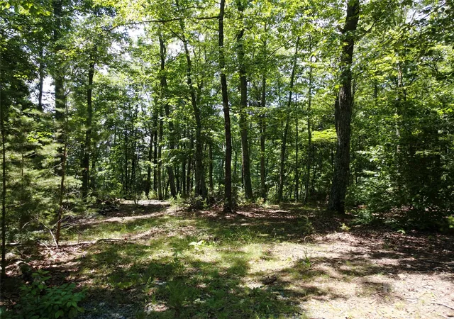 13th image of 118 Upper Ridge Rd, Bostic, NC 28018 | MLS# 4385345