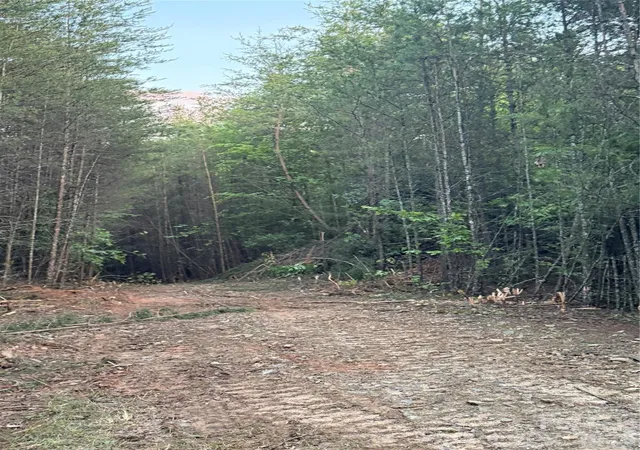 Photo 9 of Land for sale at Tract 5 Hill Rd, Marion, NC 28752 | MLS# 4385361 | Listing updated on 2026-05-30