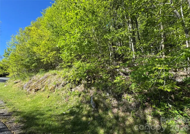 Homes for sale in Mars Hill, NC | 21 Overlook Dr #21/23, Mars Hill, NC 28754 | MLS# 4385388