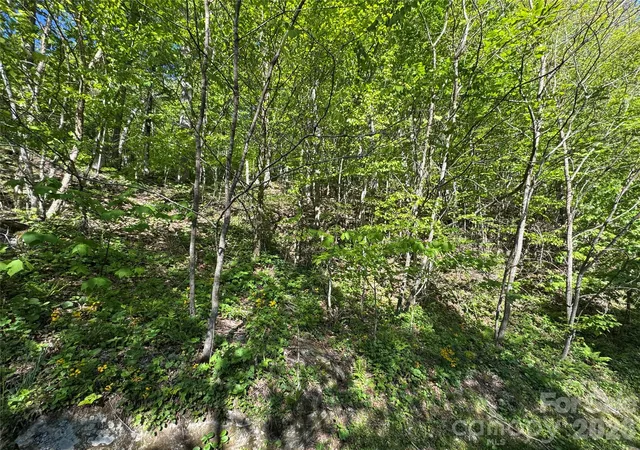 Homes for sale in Mars Hill, NC | 21 Overlook Dr #21/23, Mars Hill, NC 28754 | MLS# 4385388