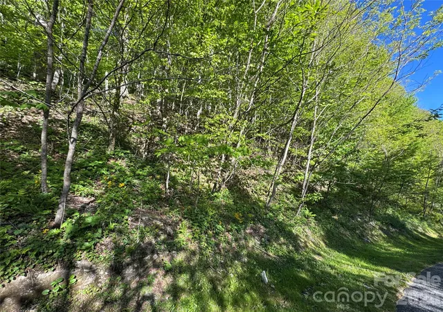 Homes for sale in Mars Hill, NC | 21 Overlook Dr #21/23, Mars Hill, NC 28754 | MLS# 4385388