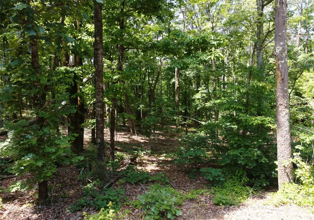 17th image of 132 Valleyview Dr, Bostic, NC 28018 | MLS# 4385389