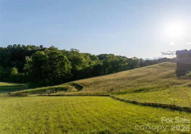 image of 124 Lilikoi Ln #93, Asheville, NC 28804 | MLS# 4385418