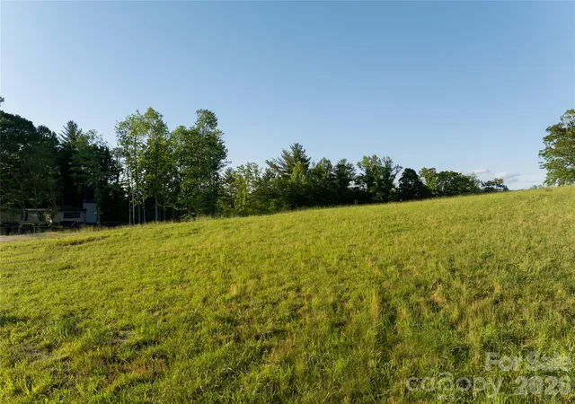 image of 124 Lilikoi Ln #93, Asheville, NC 28804 | MLS# 4385418