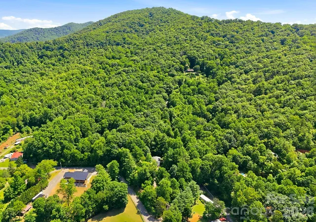 48th image of 95 Walker Cove Rd, Black Mountain, NC 28711 | MLS# 4385483