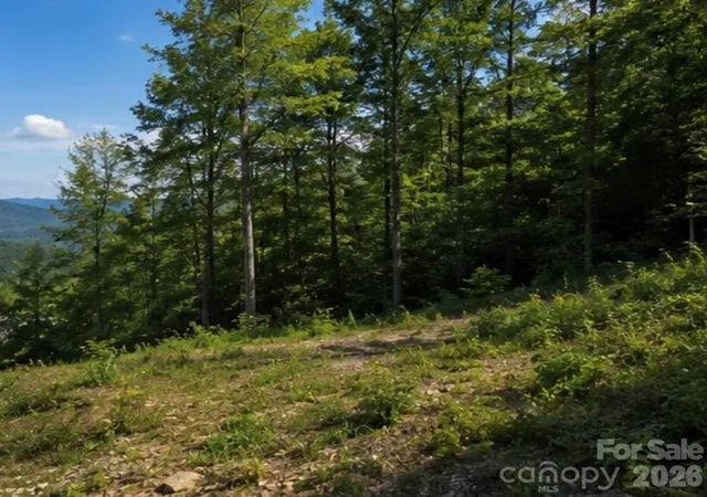 Photo 5 of Land for sale at 103 One Feather Rd, Whittier, NC 28789 | MLS# 4385525 | Listing updated on 2026-05-25