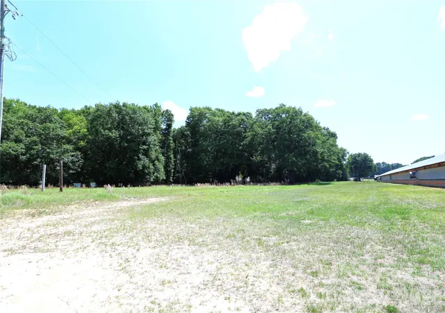 Homes for sale in Blackville, SC | 2121 Whitetail Rd, Blackville, SC 29817 | MLS# 4385636