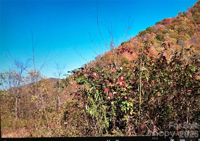 22nd image of 0 Prices Creek Rd, Burnsville, NC 28714 | MLS# 4385780