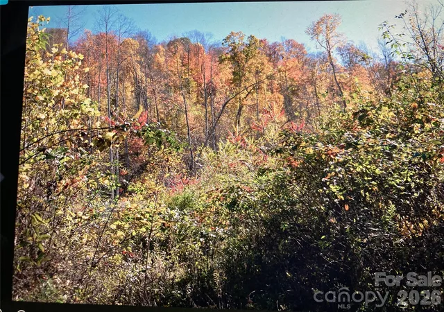 3rd image of 0 Prices Creek Rd, Burnsville, NC 28714 | MLS# 4385780