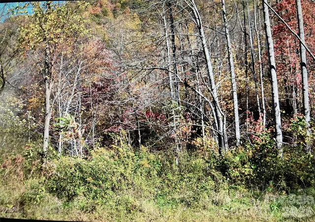 4th image of 0 Prices Creek Rd, Burnsville, NC 28714 | MLS# 4385780